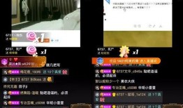 食物最新事件爆料视频播放,视频爆料揭示食品安全真相