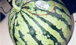 网红最新消息吃瓜,娱乐圈惊天大瓜，揭秘幕后真相！